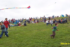 Kite Festival - 6